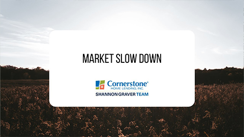 Market Slowdown Video