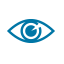 vision icon