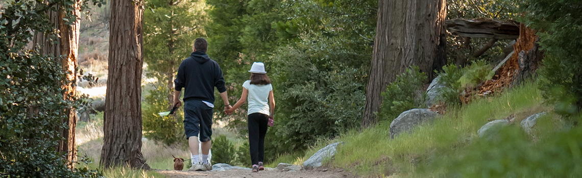 Father and daughter walking in the woods