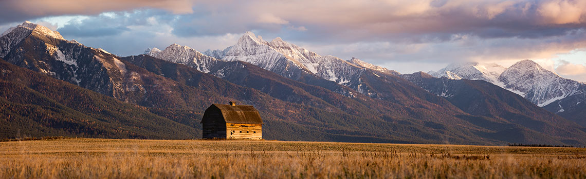 Barn