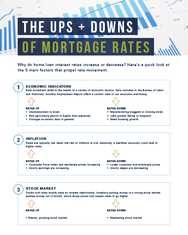What Drives Rates Flyer